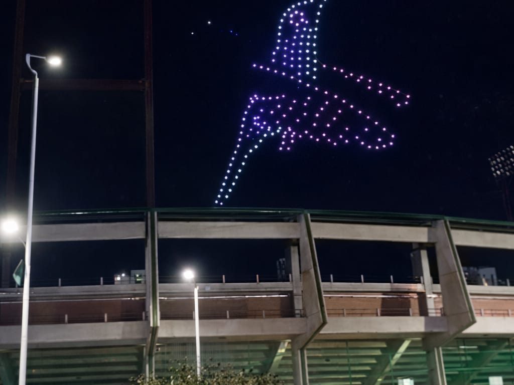 WhatsApp Image 2026-01-29 at 9.25.40 AM